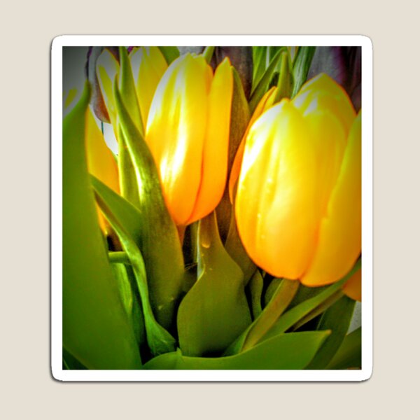 Item preview, Yellow Spring Tulips designed and sold by Maire33.