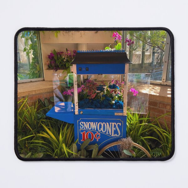 Item preview, Snowcone flower display designed and sold by Avjuwa.