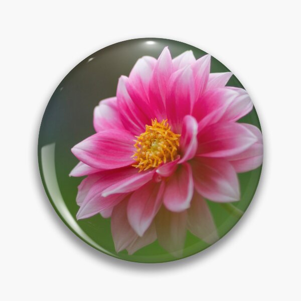 Item preview, Dahlia in green foreground and background designed and sold by imerxh.