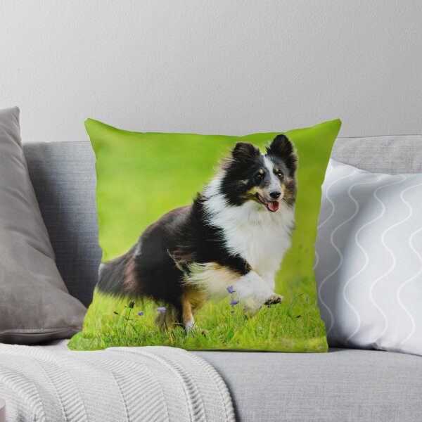 Item preview, Border Collie Running designed and sold by TheAnimalZ00.