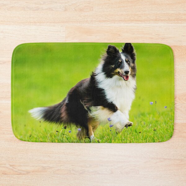 Item preview, Border Collie corriendo designed and sold by TheAnimalZ00.