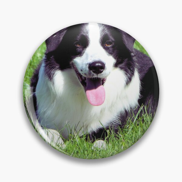 Item preview, Border Collie On The Grass designed and sold by TheAnimalZ00.