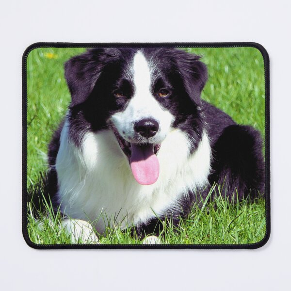 Item preview, Border Collie On The Grass designed and sold by TheAnimalZ00.