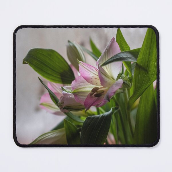 Item preview, Lily(Lilium) designed and sold by jasminewang.