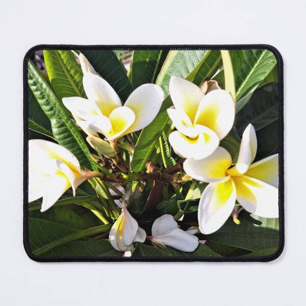 Item preview, gasman tree with its flower in the garden designed and sold by sadeek1021953Ss.