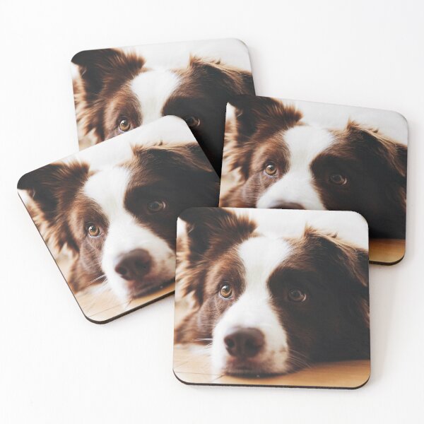 Item preview,  Border Collie Dog designed and sold by TheAnimalZ00.