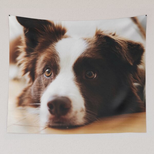 Aperçu de l'œuvre Chien Border Collie créée et vendue par TheAnimalZ00.