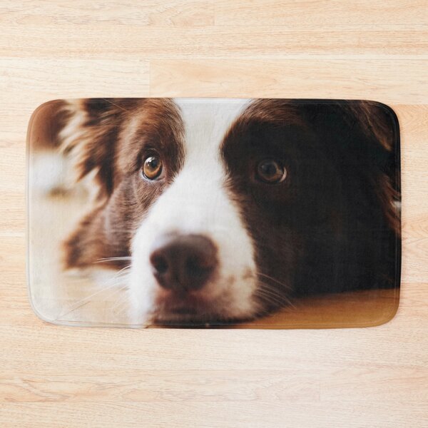 Aperçu de l'œuvre Chien Border Collie créée et vendue par TheAnimalZ00.