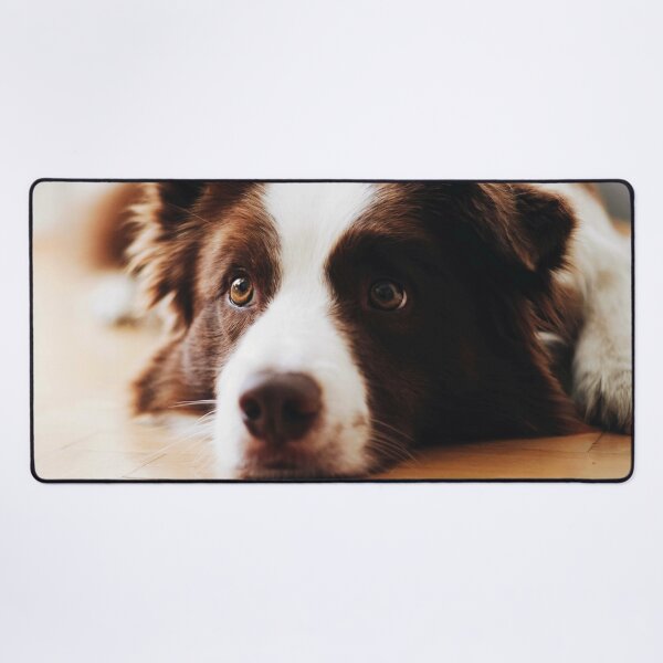 Artikelvorschau, Border Collie Hund entworfen und verkauft von TheAnimalZ00.
