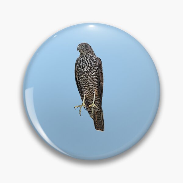 Item preview, Collared Sparrowhawk Color Design  designed and sold by designsasstultd.