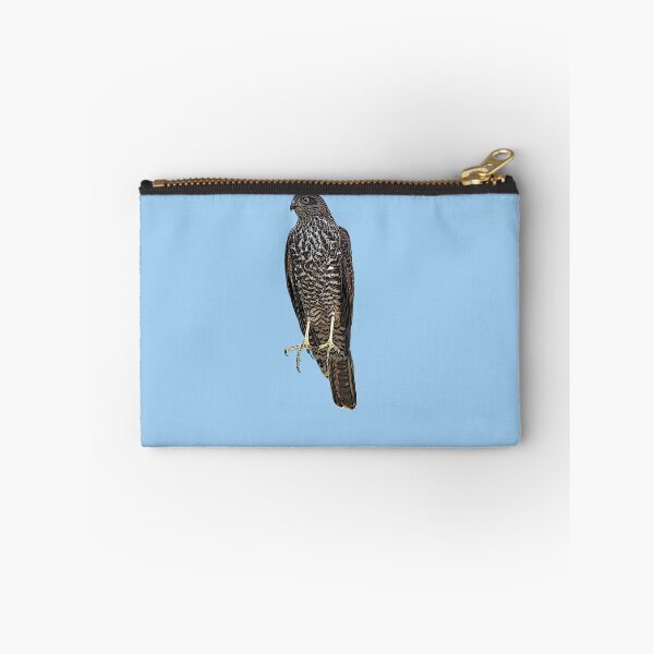 Item preview, Collared Sparrowhawk Color Design  designed and sold by designsasstultd.