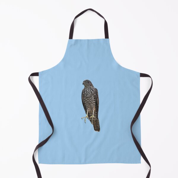 Item preview, Collared Sparrowhawk Color Design designed and sold by designsasstultd.
