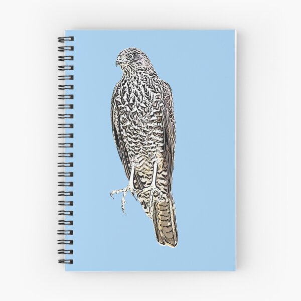 Item preview, Collared Sparrowhawk Black Alternate Design  designed and sold by designsasstultd.
