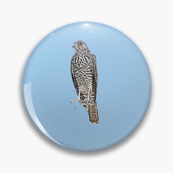 Item preview, Collared Sparrowhawk Black Alternate Design  designed and sold by designsasstultd.