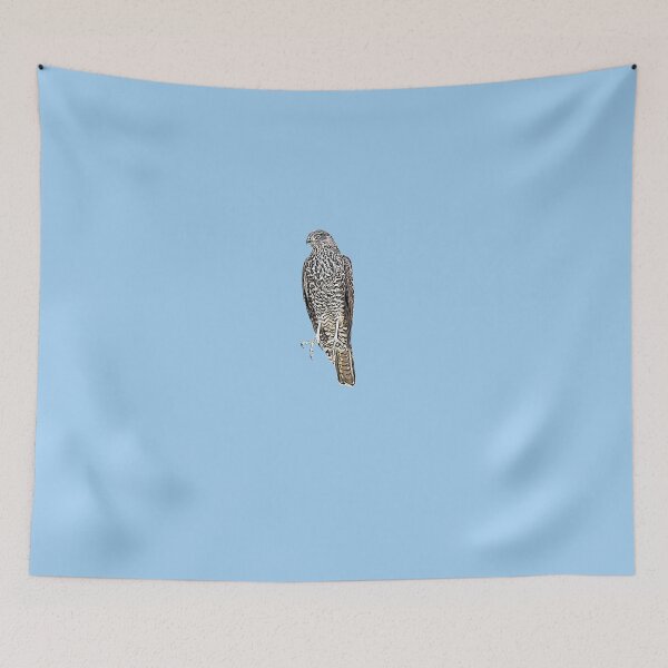 Item preview, Collared Sparrowhawk Black Alternate Design  designed and sold by designsasstultd.