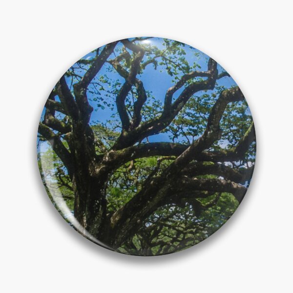 Item preview, Taiping Rain tree designed and sold by Revulet.