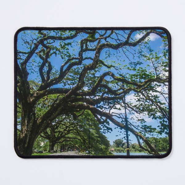 Item preview, Taiping Rain tree designed and sold by Revulet.