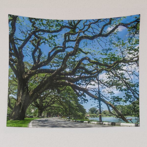 Item preview, Taiping Rain tree designed and sold by Revulet.
