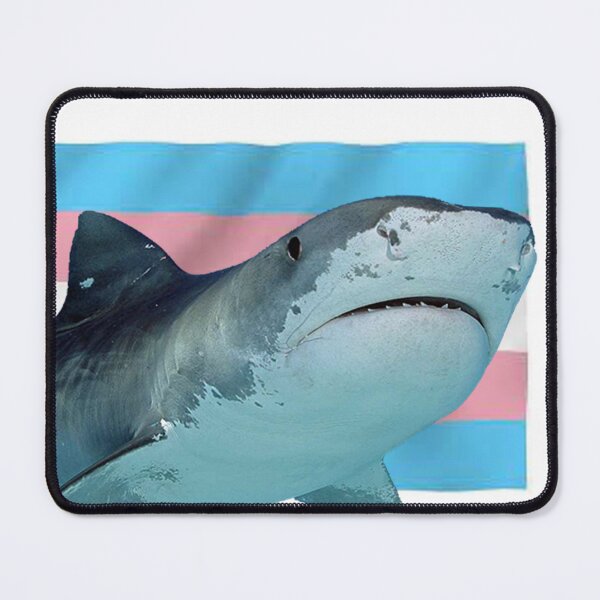 Item preview, LGBTQ+ // Queer // Tiger shark // Transgender flag designed and sold by EarlyDeadFish.