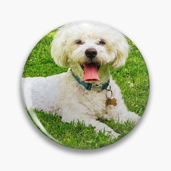 Item preview, Bichon Frise Dog designed and sold by TheAnimalZ00.