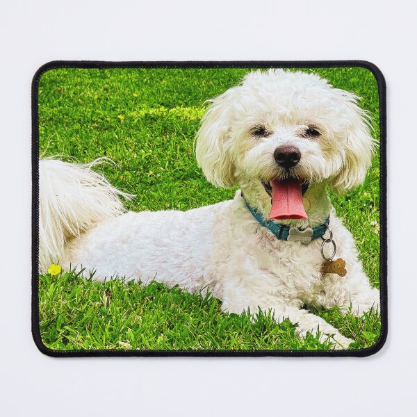 Item preview, Bichon Frise Dog designed and sold by TheAnimalZ00.