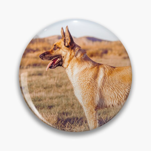 Item preview, Belgian Malinois Dog designed and sold by TheAnimalZ00.