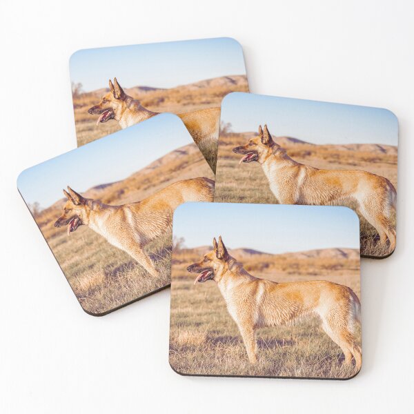 Item preview, Belgian Malinois Dog designed and sold by TheAnimalZ00.