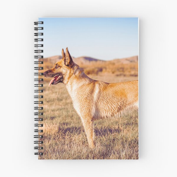 Item preview, Belgian Malinois Dog designed and sold by TheAnimalZ00.