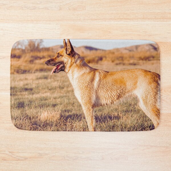 Item preview, Belgian Malinois Dog designed and sold by TheAnimalZ00.