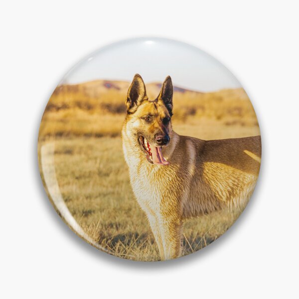 Item preview, Belgian Malinois  designed and sold by TheAnimalZ00.
