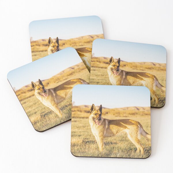 Item preview, Belgian Malinois  designed and sold by TheAnimalZ00.