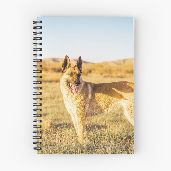 Item preview, Belgian Malinois  designed and sold by TheAnimalZ00.
