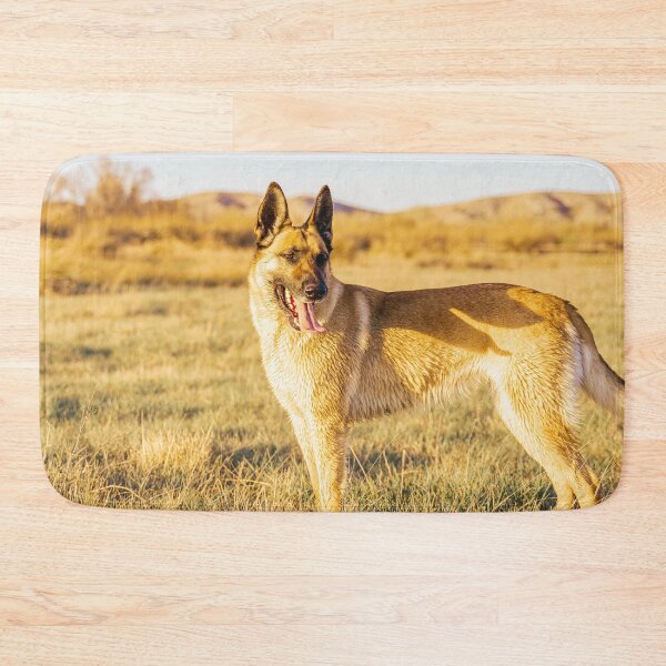 Item preview, Belgian Malinois  designed and sold by TheAnimalZ00.
