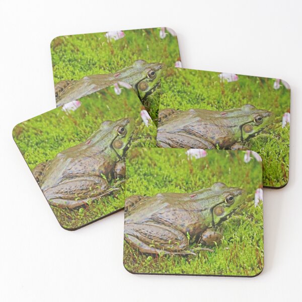 Item preview, Frog And Mosquito designed and sold by Deb Oppermann.
