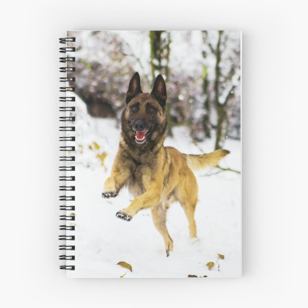 Item preview, Belgian Malinois Running In Snow designed and sold by TheAnimalZ00.