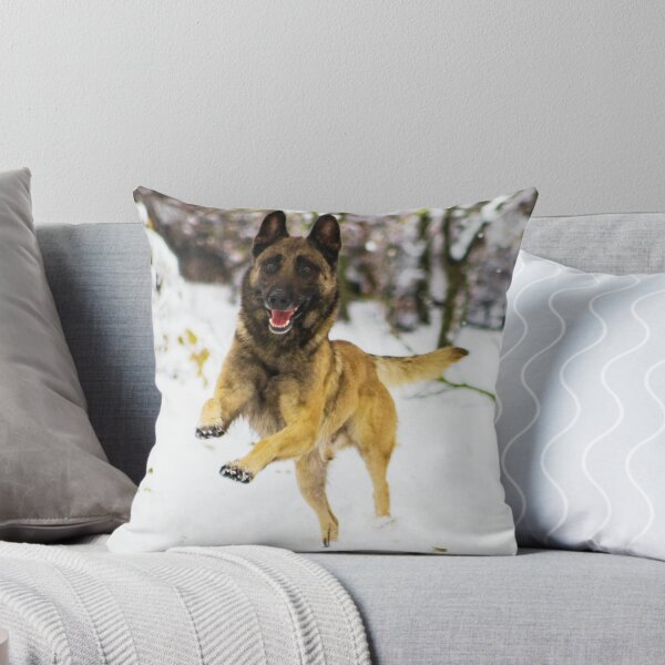 Item preview, Belgian Malinois Running In Snow designed and sold by TheAnimalZ00.