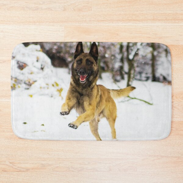 Item preview, Belgian Malinois Running In Snow designed and sold by TheAnimalZ00.