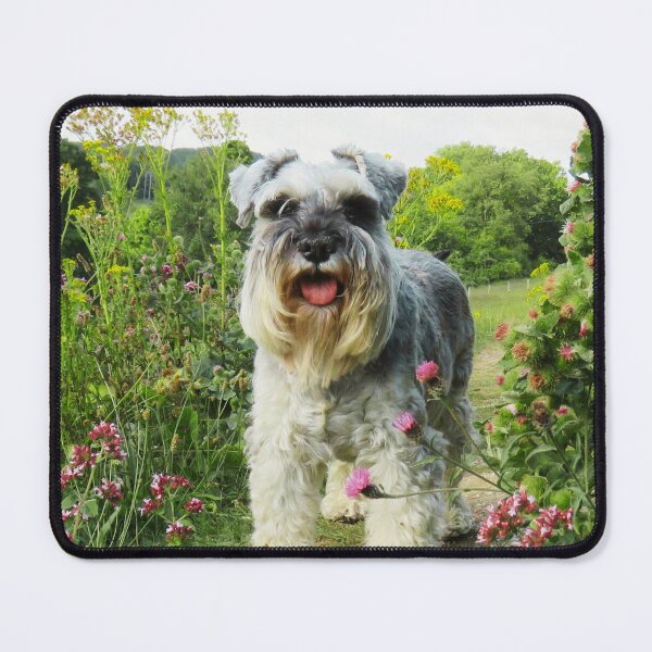 Item preview, Miniature Schnauzer By Plants designed and sold by TheAnimalZ00.