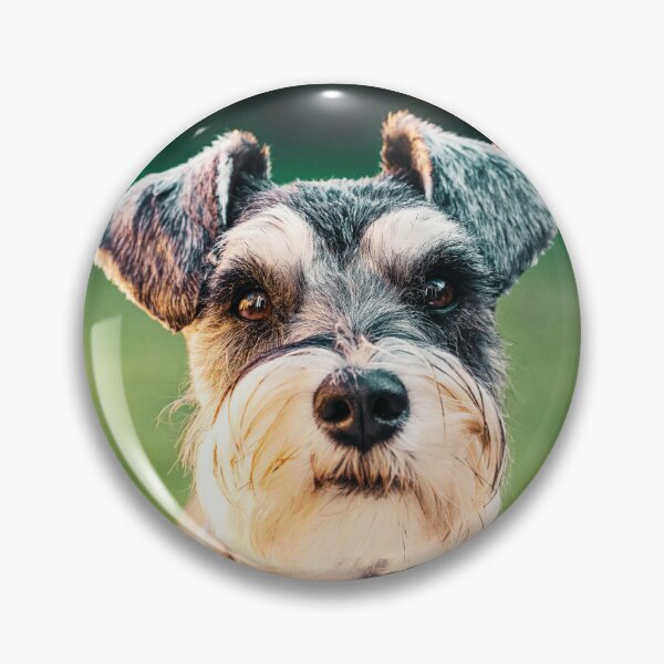 Item preview, Miniature Schnauzer Face designed and sold by TheAnimalZ00.