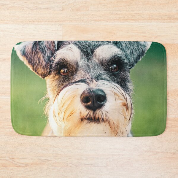 Aperçu de l'œuvre Visage de Schnauzer nain créée et vendue par TheAnimalZ00.
