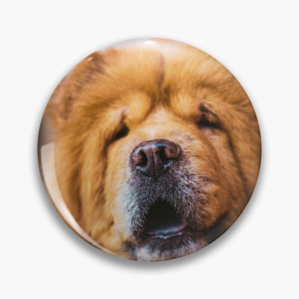 Item preview, Chow Chow Face designed and sold by TheAnimalZ00.