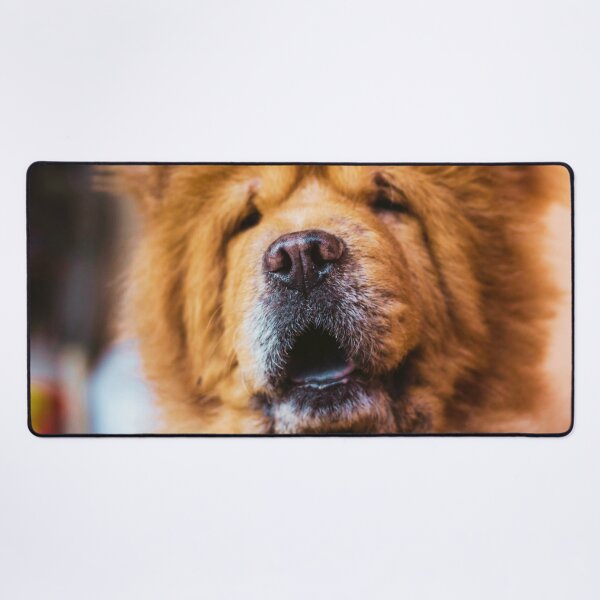 Item preview, Chow Chow Face designed and sold by TheAnimalZ00.