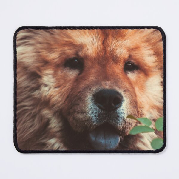 Item preview, Copy of Chow Chow Face designed and sold by TheAnimalZ00.