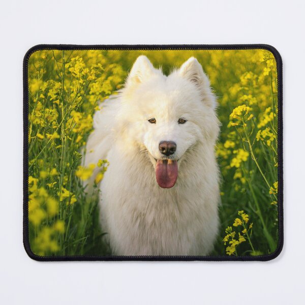 Item preview, Samoyed Dog In Flower Meadow designed and sold by TheAnimalZ00.