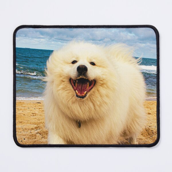 Item preview, Samoyed Dog At The Beach designed and sold by TheAnimalZ00.