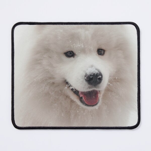 Item preview, Snowy Samoyed Face designed and sold by TheAnimalZ00.