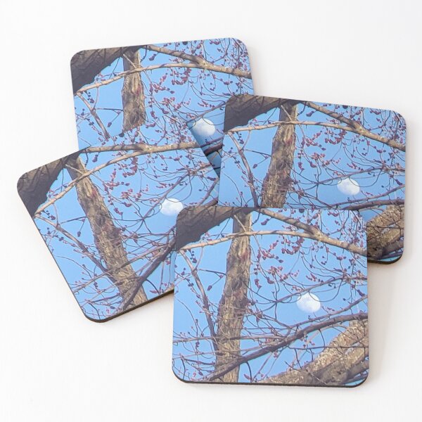 Item preview, Daytime View of the Moon through Tree Branches designed and sold by WhiteSoftPetals.