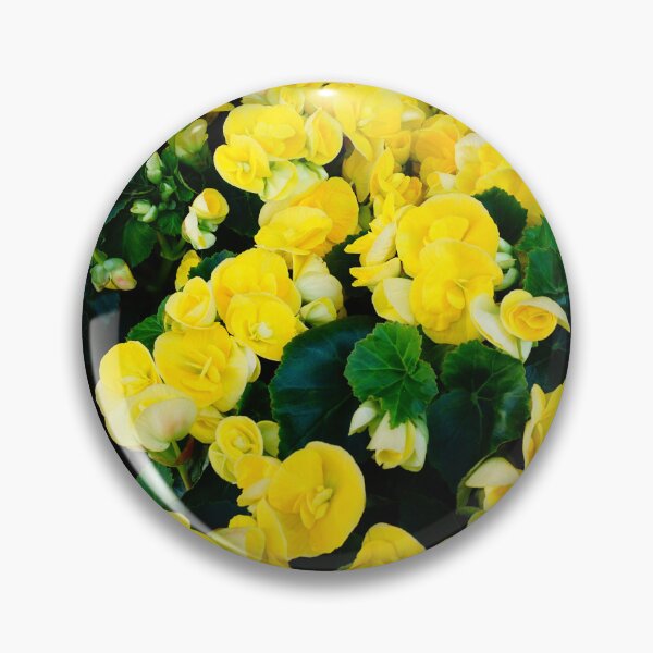 Item preview, Poors man yellow Orchid designed and sold by corichard.