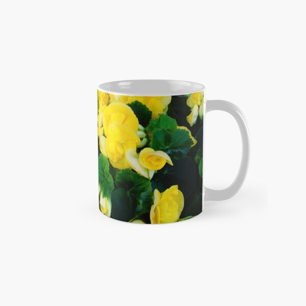 Aperçu de l'œuvre Pauvre homme Orchidée jaune créée et vendue par corichard.