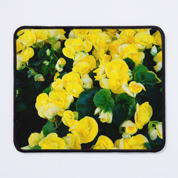 Item preview, Poors man yellow Orchid designed and sold by corichard.